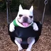 giga_gargantuar