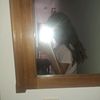 celiapimenta25