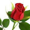 user63102817343887