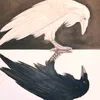 yi_21i
