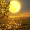 xhulia0007