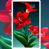 mamadou.camara6272