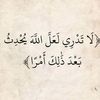 user3354113386616