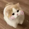 nguyenthithuthuyy012