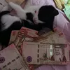 amina.achkar24