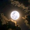 safia.badr4