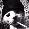 usernotfound132_