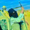 biji.ag.mhamad
