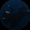 strangerthingsfan9981