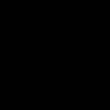 _noiglilron