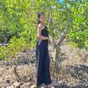 leveaia_