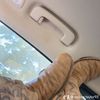 name.name.name73
