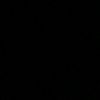 litsi_ls3
