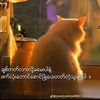 kyaw.gyi61908