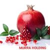 murraholding