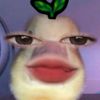lutvi_uu