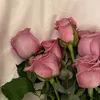 zoom.oo94