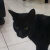mrblackreal