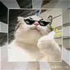 virsama3