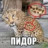 wol_sw