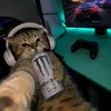 zizi.lllll0z1