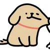 conmeokeusao.meo