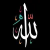 🎧🎤🗣️🫀🕋