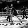 andrei.campionul8