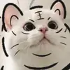 fnyvz