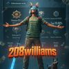 williams208208