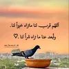 user5769560850410