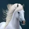 user26191970461256