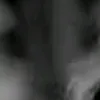 s133268