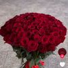 cavid.musayev91