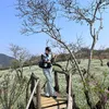 trang.xinh.nguyn