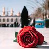 andleeb.rajput1