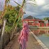 luuv_faaa