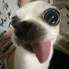 iu_emnhatt