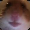 hamster_hd44