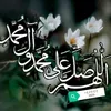 user86534819198297