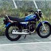 leo.putra042