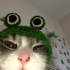 ja_nina26