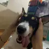 mikoteyyyy