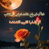 bassel.bassel347