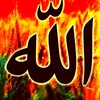 zain.zain.ali632