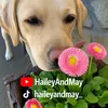 haileyandmay_