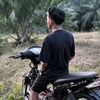 kwbrull