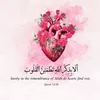 www.tiktok.comdeen