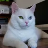 nickyhxem7
