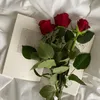 sairanebrahim5